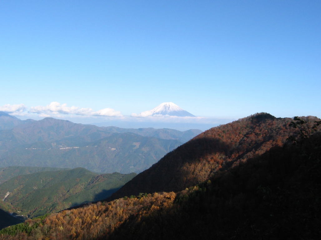 ２００８年１１月安倍奥からの富士山１