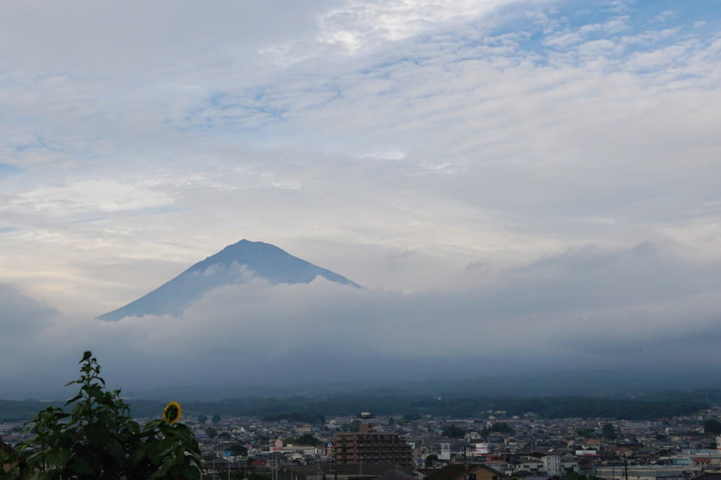 雪が消えた富士山